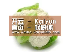 产品名称九