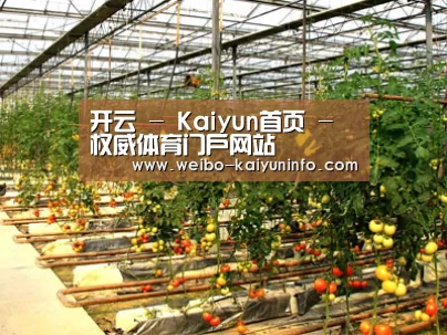 种植基地二(图1)