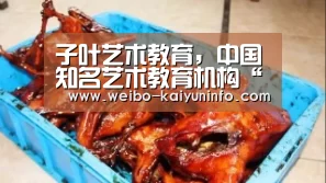子叶艺术教育,中国知名艺术教育机构“开云体育官网”(图1) 开云体育